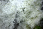 DSC03965