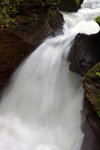 DSC03980