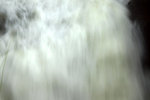 DSC03982