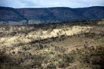 IMG_8654