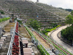 P1580469