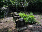 P1580496