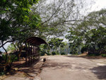 P1580499