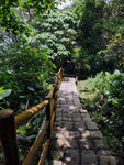 P1580592