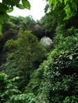 P1630960