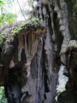 P1630964