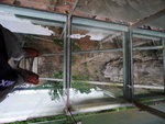 P1630995