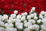 IMG_8780