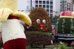 IMG_8795