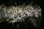 IMG_9748