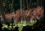 IMG_9769