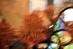 IMG_9863