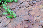DSCF6168