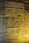 IMGP7360