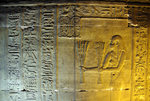 IMGP7363