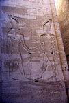 IMGP7368