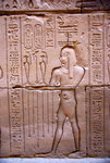 IMGP7370