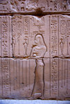 IMGP7371