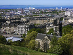 CARLTON HILL 8
