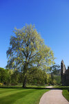 PALACE OF HOLYROODHOUSE 13