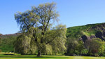 PALACE OF HOLYROODHOUSE 15