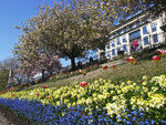 1-WEST PRINCES  STREET GARDENS 2