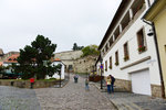 EGR_0156