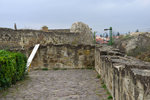 EGR_0278