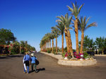 ABU SIMBIL 14