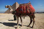 GIZA PYRAMIDS 6