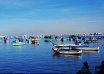 ALEXANDRIA 14