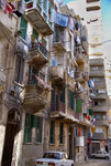 ALEXANDRIA 17