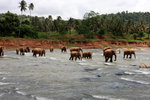 IMG_6975