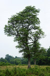 DSC09626