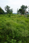 DSC09629