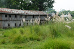 DSC09638