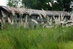 DSC09640