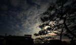 IMG_1267