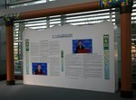 IMG_1292