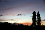DSC02286