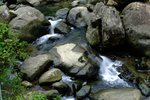 DSCF3602