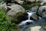 DSCF3604