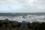 DSC07259