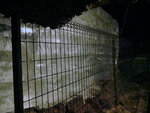 P1344335