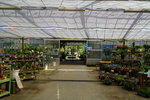 DSC00070