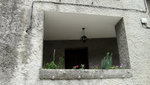 DSC00043