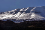P1266629