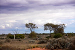 P1180628