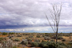 P1180647