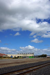 DSC05500